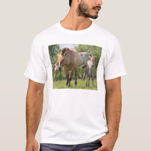 Paard van Przewalski en veulen lopen T-shirt