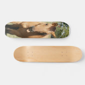 paard van slim aleck skateboard (Horizontaal)