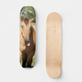 paard van slim aleck skateboard (Voorkant)