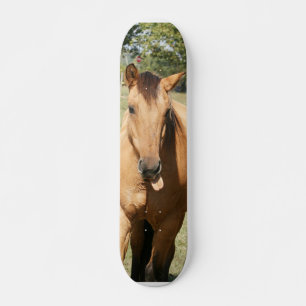paard van slim aleck skateboard