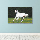 Paard van verf die in grijs veld loopt canvas afdruk (Insitu (Houten vloer))