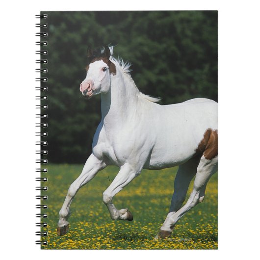 Paard van verf die in grijs veld loopt notitieboek (Voorkant)