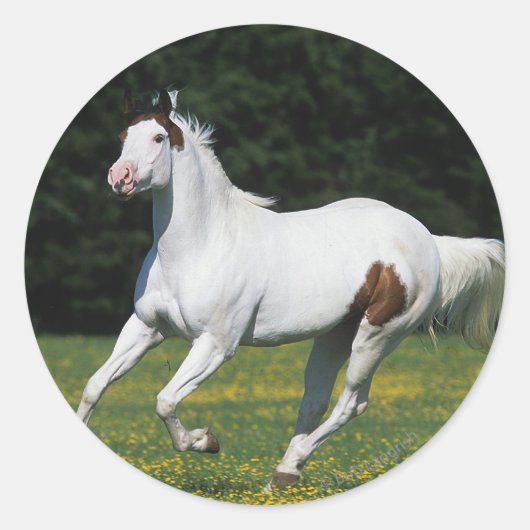 Paard van verf die in grijs veld loopt ronde sticker (Voorkant)