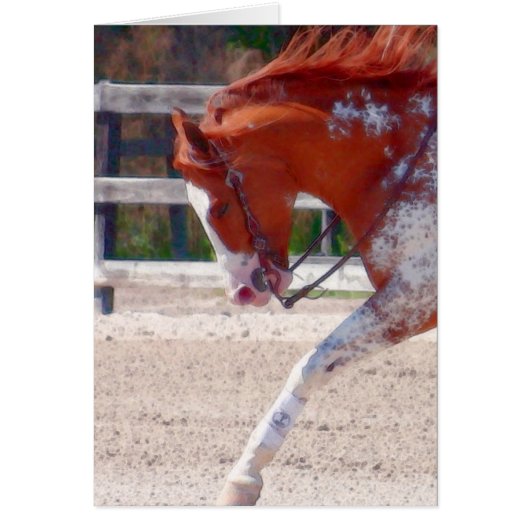 Paard verven (Voorkant)