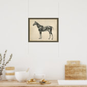  paard Veterinaire Spieranatomie Afdrukken Poster (Keuken)