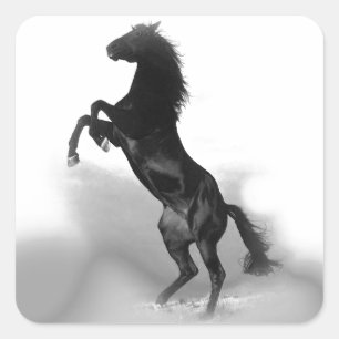 Paard Vierkante Sticker