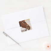 Paard Vierkante Sticker (Envelop)