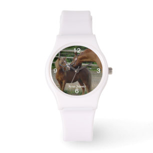 Paard vriend kisses Horloge