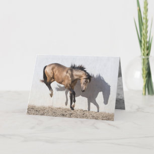 Paard Wenskaart - Aanraken naar beneden Kaart