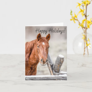 Paard Wenskaart Kaart