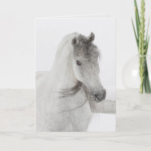 Paard Wenskaart - Mischievous Snowy Mare Kaart