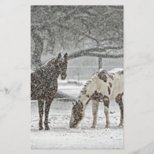 paard winter sneeuw boerderij ranch dieren besneeu briefpapier
