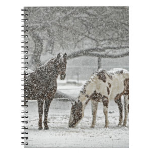 paard winter sneeuw boerderij ranch dieren besneeu notitieboek