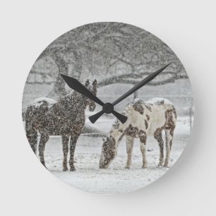 paard winter sneeuw boerderij ranch dieren besneeu ronde klok