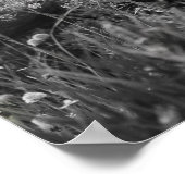 Paard Zwart Wit Foto Modern Poster (Hoek)