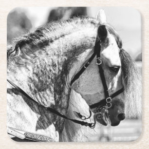 Paard zwart-wit kunstfoto vierkante kartonnen onderzetter