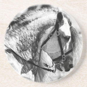Paard zwart-wit kunstfoto zandsteen onderzetter