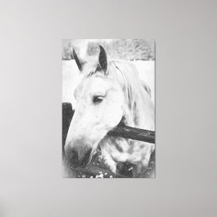 *~* Paardachtige AR22 . Wit Paard over Houten Omhe Canvas Afdruk