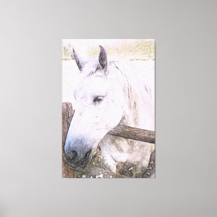 *~* Paardachtige AR22 Wit Paard over Houten Omhein Canvas Afdruk