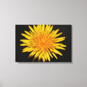 Paardebloem Bloem 24x16 (60x40cm) waccna Canvas Afdruk