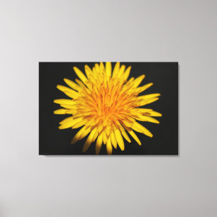 Paardebloem Bloem 36x24 (90x60cm) wacm Canvas Afdruk
