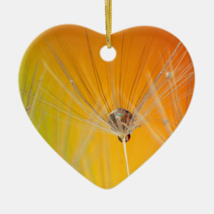 Paardebloem Bloemen Destiny Vrede Liefde Kunst Keramisch Ornament