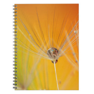 Paardebloem Bloemen Destiny Vrede Liefde Kunst Notitieboek