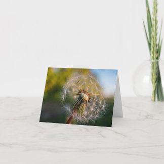 Paardebloem Fluffball Notecard Kaart