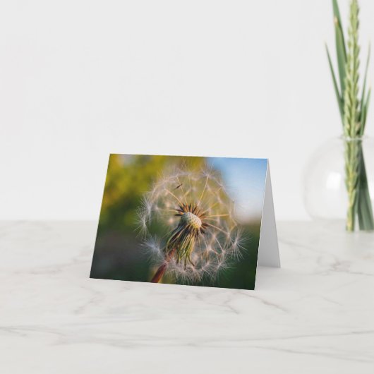 Paardebloem Fluffball Notecard Kaart (Voorkant)