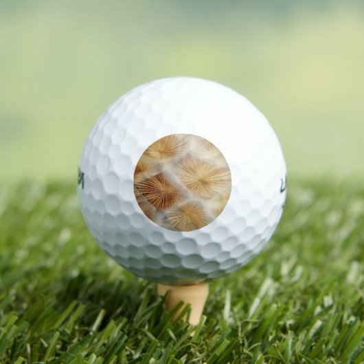 Paardebloem zaad pluis golfballen (Insitu Shirt)