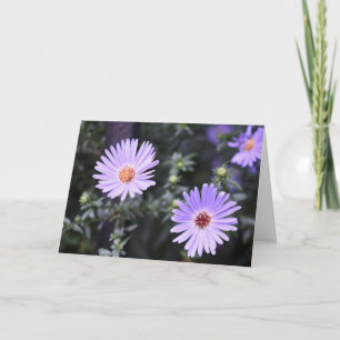 paardebloemen Oorspronkelijke tuinfoto Kaart