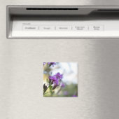 paardebloemen Oorspronkelijke tuinfoto Magneet (Insitu (Vaatwasser))