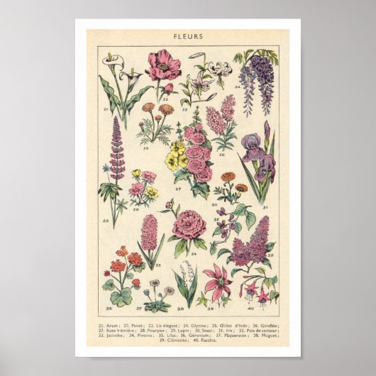 paardebloemen poster (Voorkant)
