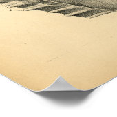 Paarden Abdominale pelvic Anatomy 1908  print (Hoek)