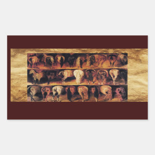 Paarden achtervoeten, perkament rechthoekige sticker