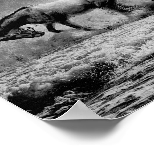 Paarden afschilderen ontkoppeling afdrukken poster (Hoek)