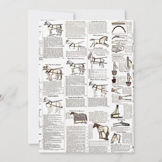 Paarden Antiek Adverteren krantenkunst Kaart (Achterkant)