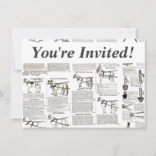 Paarden Antiek Adverteren krantenkunst Kaart (Voorkant)