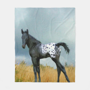 Paarden - Appaloosa Colt Fleece Blanket Deken