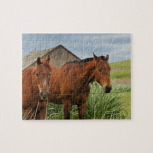 Paarden bekijken in een veld in de Palouse 3 Legpuzzel
