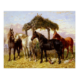 Paarden bij een rivier rond 1800 perfect poster