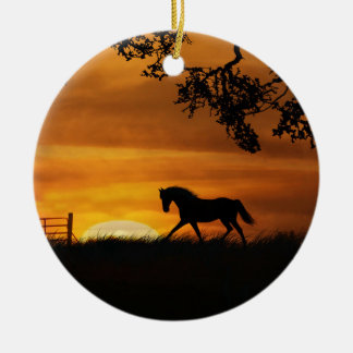 Paarden bij het Zonnevaste Ornament