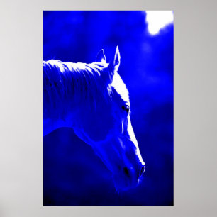 Paarden bij nacht - Paarden bij maanlicht afdrukke Poster