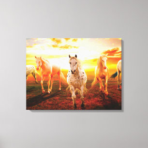 Paarden bij zonsondergang canvas afdruk