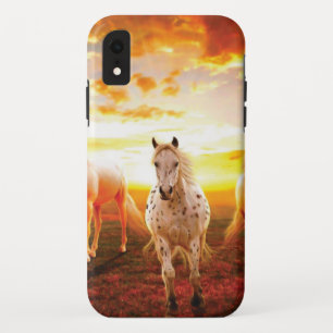 Paarden bij zonsondergang iPhone XR hoesje