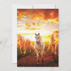 Paarden bij zonsondergang feestdagenkaart