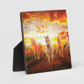 Paarden bij zonsondergang fotoplaat (Voorkant)