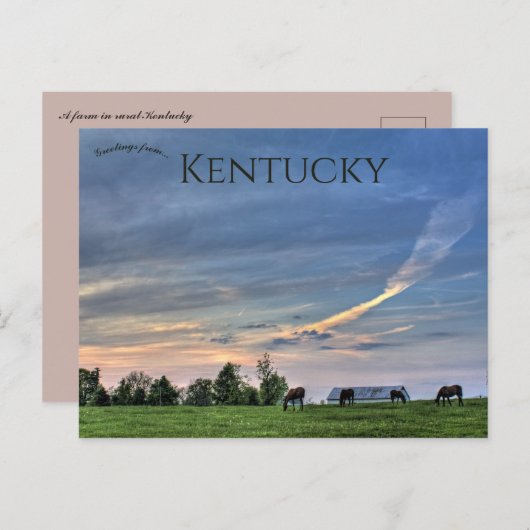 Paarden bij zonsondergang in Lexington, Kentucky Briefkaart (Voorkant / Achterkant)