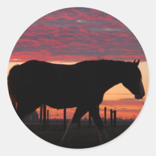 Paarden bij zonsondergang ronde sticker
