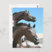 Paarden Briefkaart (Voorkant / Achterkant)